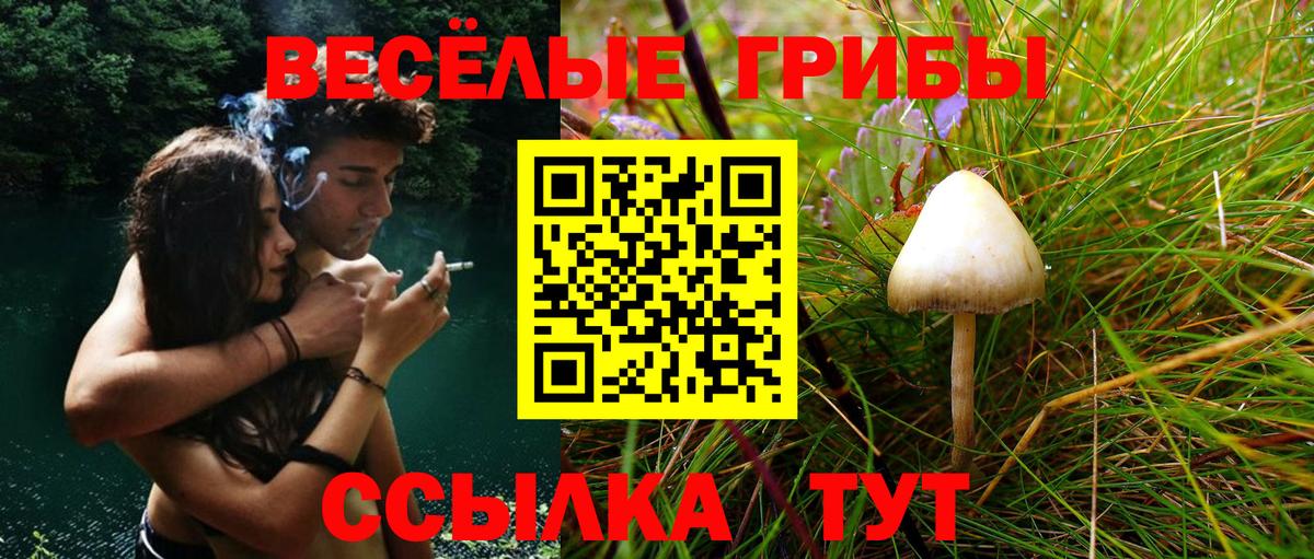 Арсеньев  Галлюциногенные грибы Psilocybine cubensis  цены наркотик  Вход с VPN 